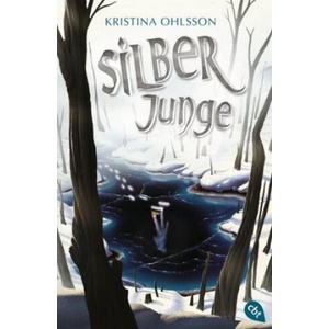 Silberjunge | Kristina Ohlsson, Susanne Dahmann (ISBN: 9783570311523)
