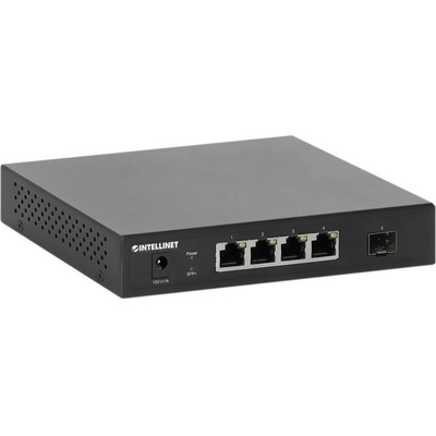 Intellinet 562058
