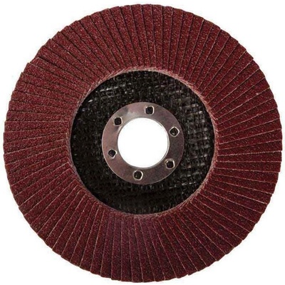 Festa Kotúč lamelový 125 mm Z 40 21786