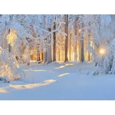 Зимен пейзаж 50/40 см