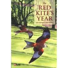 Red Kite's Year Carter Ian