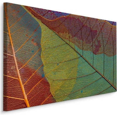 MyBestHome BOX Plátno Barevné Listí V Makro Měřítku Varianta: 100x70