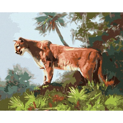 zuty Malování Podle Čísel Puma V Džungli D. Rusty Rust 40 x 50 Cm Plátno Rám