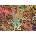 Anatolian - Puzzle Library - 1 000 piese