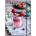 STREET Папка с ластик STREET Smoothie A4 (24835-А-SMOOTHIE)