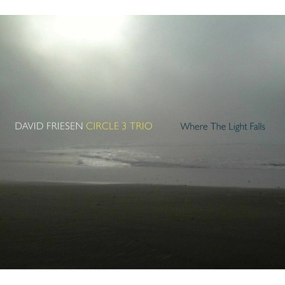 David Friesen, WHERE THE LIGHTS FALL, CD