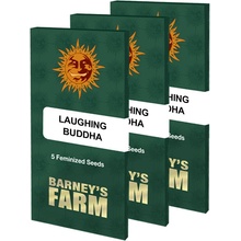 Barneys Farm Laughing Buddha semena neobsahují THC 5 ks