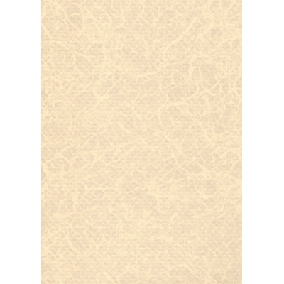ELBE Фолио за басейн Pearl Premium Line - Sand - Дебелина 1, 6 mm / 25 x 1, 65 m (530300233)