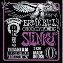 Ernie Ball 3120