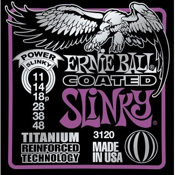 Ernie Ball 3120
