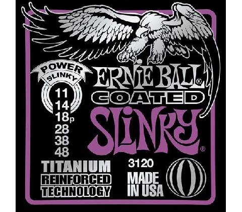 Ernie Ball 3120
