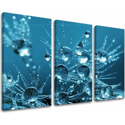 Obraz na stenu KVETY - 60x40
