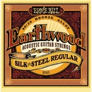 Ernie Ball 2043