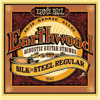 Ernie Ball 2043