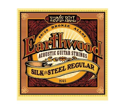 Ernie Ball 2043