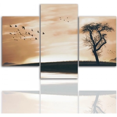 Divio Třídílný obraz na plátně strom, vzor 12276 Velikost: 120x180 cm
