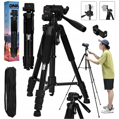 DNA T181
