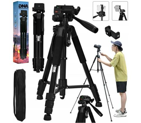 DNA T181