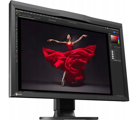 Eizo CG2400S