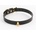 NS Novelties Fetish & Fashion Cara Collar Black