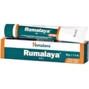 Himalaya Rumalaya gél 30 g