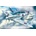 ICM Spitfire Mk.VII 1:48