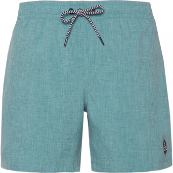 Image 1 of Protest Мъжки бански слипове Protest PRTDavey Swim brief - Arcticgreen (050-0836-0713)