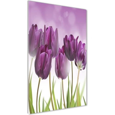 Vertikálny foto obraz sklenený Fialové tulipány 50x100 cm