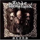 HATE MEDIATION Scars/Vinyl
