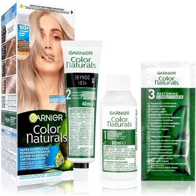 Garnier Color Naturals Ledová popelavá 103+