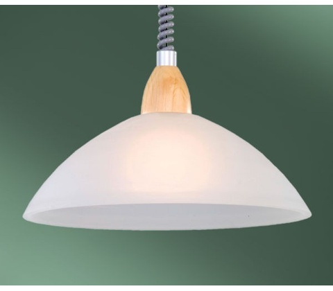 Eglo 87009