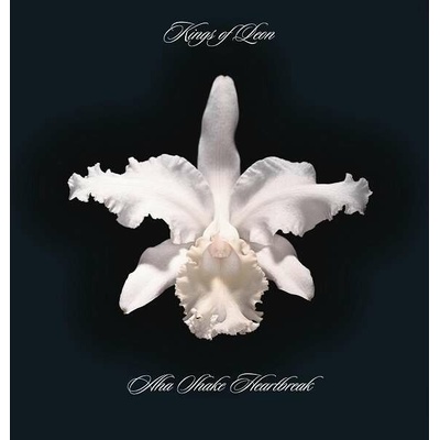 KINGS OF LEON - AHA SHAKE HEARTBREAK LP