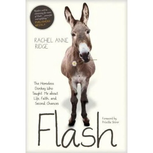 Flash | Rachel Anne Ridge, Priscilla Shirer (ISBN: 9781414397849)