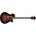Ibanez AEGB24FE