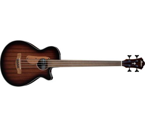 Ibanez AEGB24FE