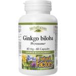 Natural Factors Ginkgo Biloba Phytosome 60 mg [60 капсули]