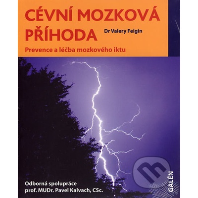 Cévní mozková příhoda - Valery Feigin