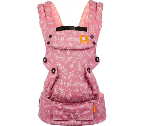 Tula explore Bloom