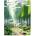 KARTON P+P Playworld Landscape: Тетрадка A4, на редове (6-89526)