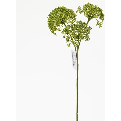 KS SEDUM ZELENÉ 35CM