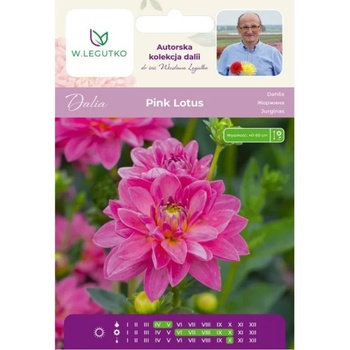 W. Legutko Розова лотосова далия, 1 брой
