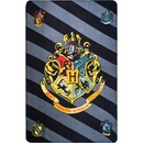 JERRY FABRICS Fleece deka Harry Potter sivé pruhy