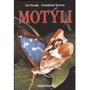 Motýli