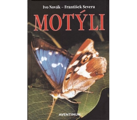 Motýli