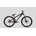 CTM Dirtking 2021