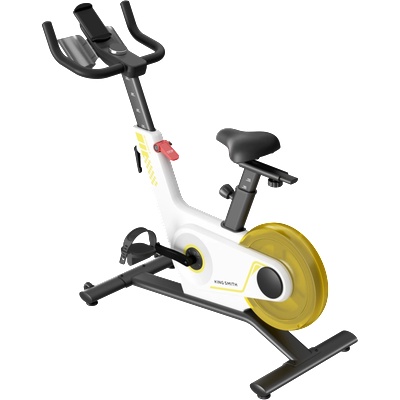 KingSmith Spinning Bike PB08S