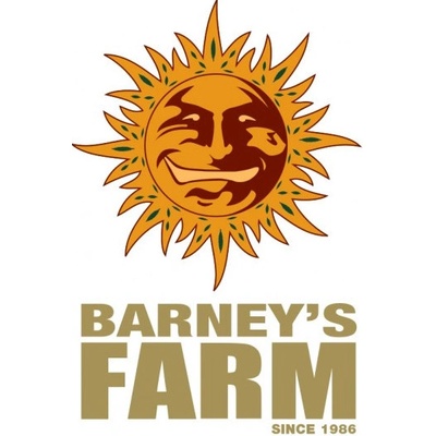 Barney's Farm LSD semena neobsahují THC 3 ks – Zbozi.Blesk.cz