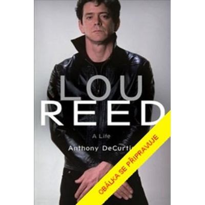 Lou Reed - DeCurtis Anthony