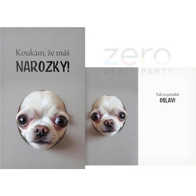Přání s textem narozeninové + obálka - pes