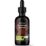 BrainMax Brainmax® Cordyceps Alcohol Free Tincture, 10: 1 Extract, 100 ml